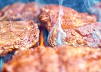 ASA : le hot spot qui murmure à l’oreille des carnivores à Montpellier 