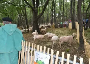 Saint-Gély-du-Fesc : un plongeon au cœur de la ruralité !
