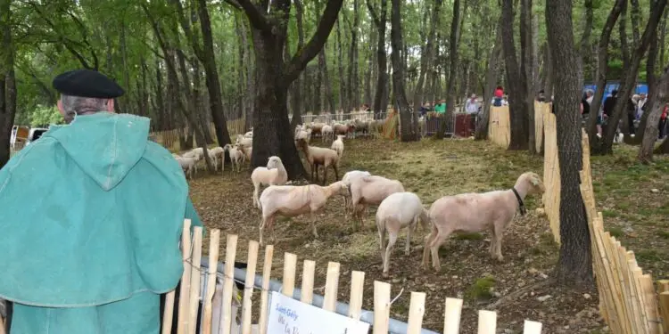 Saint-Gély-du-Fesc : un plongeon au cœur de la ruralité !