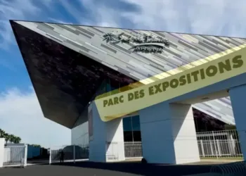 Foire de Montpellier : Les animations à partager en famille