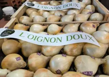 La Foire de la Pomme et de l'Oignon doux des Cévennes fête ses 30 ans
