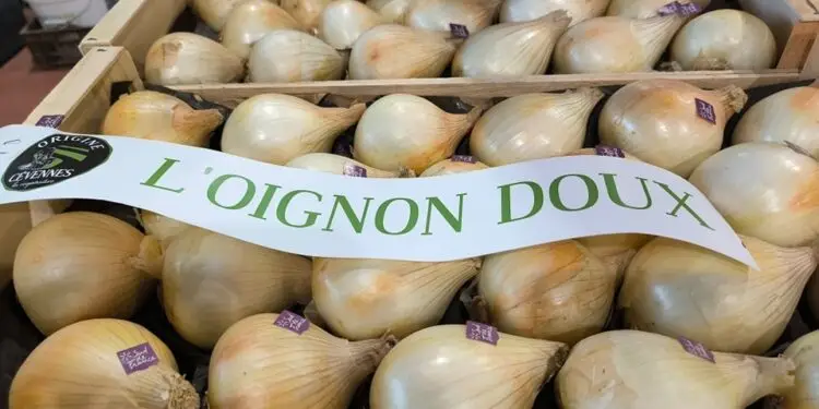 La Foire de la Pomme et de l'Oignon doux des Cévennes fête ses 30 ans