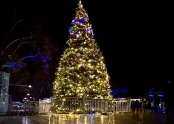Montpellier : les ventes de Noël ouvertes à la SNCF 