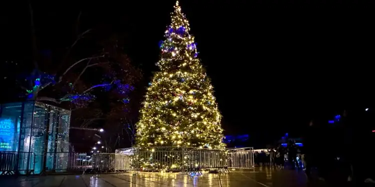 Montpellier : les ventes de Noël ouvertes à la SNCF