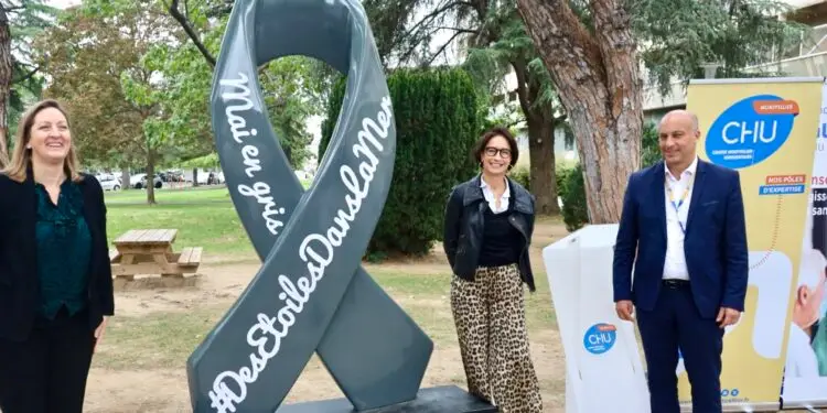Montpellier : un ruban gris géant pour sensibiliser au cancer du cerveau
