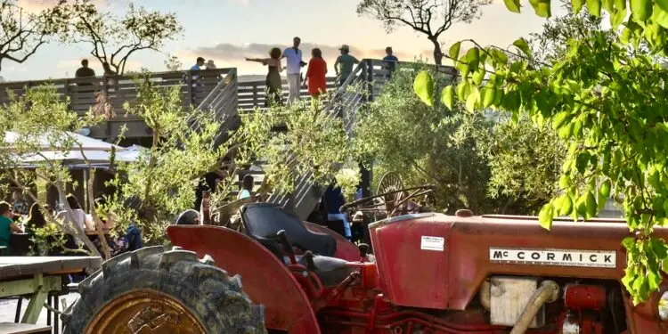 3 jours pour la Féria des Olives au Domaine de l’Oulivie
