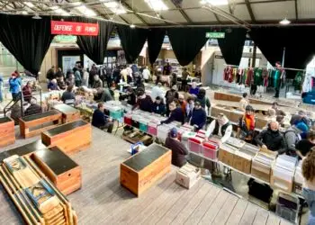 Novembre fait tourner les vinyles : 3 dates à ne pas manquer dans l’Hérault