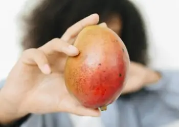 Vacances de la Toussaint : initiez vos enfants à une alimentation saine et gourmande !