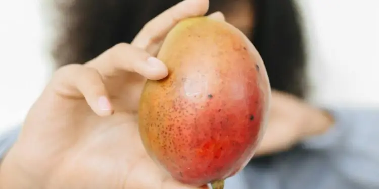 Vacances de la Toussaint : initiez vos enfants à une alimentation saine et gourmande !