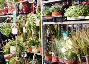 Un week-end au paradis des plantes à Tropisme