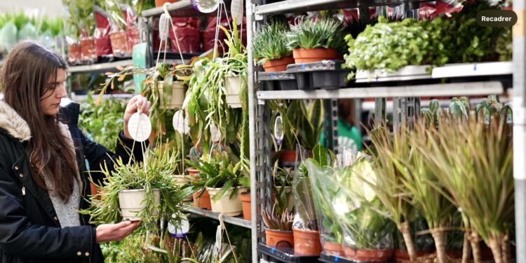 Un week-end au paradis des plantes à Tropisme