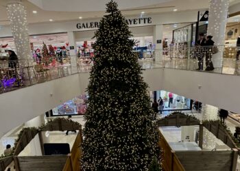 Montpellier : un sapin géant au Polygone pour les fêtes