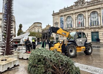 Montpellier : on installe le sapin sur la Comédie