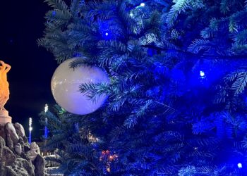 Le sapin va reprendre sa place devant l'Opéra Comédie