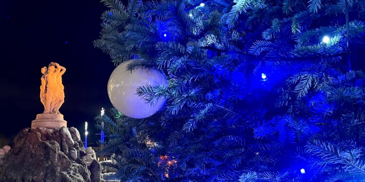 Le sapin va reprendre sa place devant l'Opéra Comédie