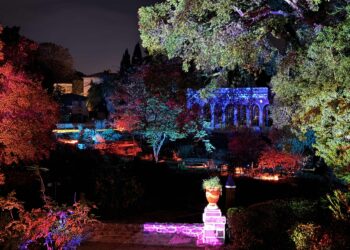 Top départ pour Cœur de Ville en Lumières : un voyage féérique