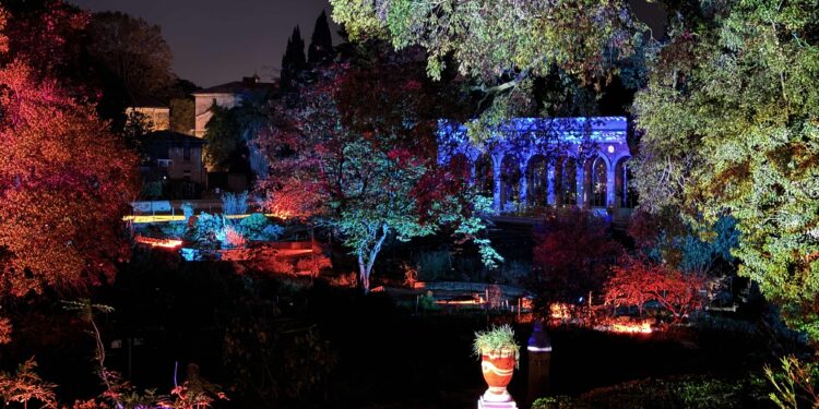 Top départ pour Cœur de Ville en Lumières : un voyage féérique