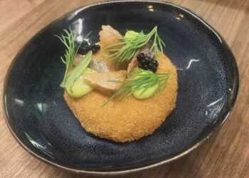 Immersion : une exploration culinaire au cœur de Montpellier