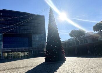 Montpellier : un sapin géant de 12m sur le parvis de l'Hôtel de Ville