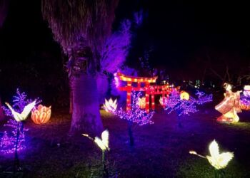 500 sculptures lumineuses dans le parc de Flaugergues