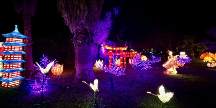 500 sculptures lumineuses dans le parc de Flaugergues