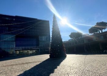 Grand soleil pour ta semaine de Noël