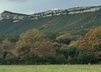 Gros coup de frais pour ta semaine à Montpellier
