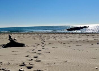 Météo : un 31 décembre sous le soleil et un Réveillon sous les étoiles