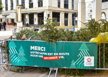 Recycler son sapin, c'est facile ! Participez à l'opération “Parcs à Sapins”