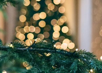 Création et solidarité au marché de Noël de Tropisme 