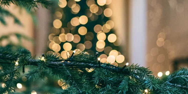 Création et solidarité au marché de Noël de Tropisme 