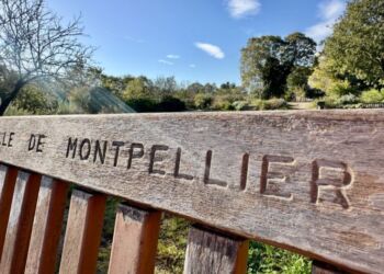 Soleil et fraicheur juste avant les vacances