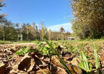 Soleil pour ton vendredi, mitigé pour la suite
