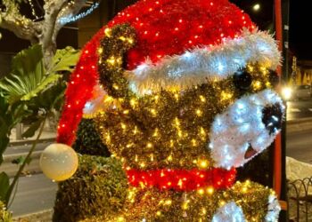 Viens faire tes courses au marché de Noël de Lunel