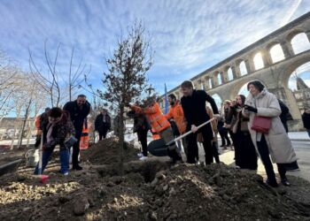 Montpellier : La végétalisation a débuté place Max Rouquette aux Arceaux