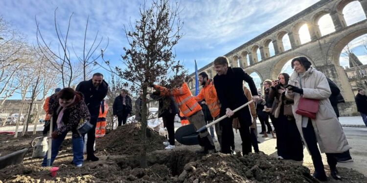 Montpellier : La végétalisation a débuté place Max Rouquette aux Arceaux