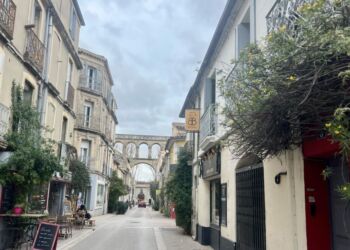 Montpellier, ville jardin : Cultivons la biodiversité
