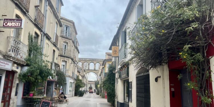 Montpellier, ville jardin : Cultivons la biodiversité