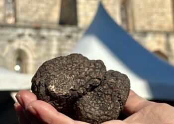 Plongez Au Coeur De La Fete De La Truffe A Saint Genies Des Mourgues