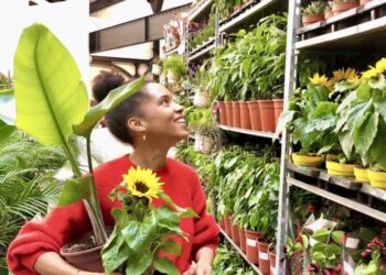 VPlantes Pour Tous va faire fleurir la halle Tropisme