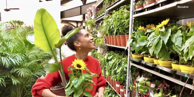 VPlantes Pour Tous va faire fleurir la halle Tropisme
