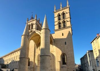 Enfin du grand soleil pour ton week-end à Montpellier