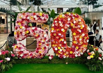 Gagnez 50€ de carte cadeau pour fêter les 50 ans du Polygone Montpellier