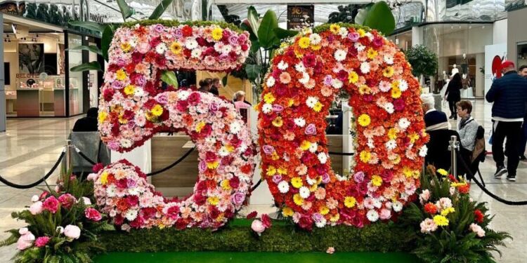 Gagnez 50€ de carte cadeau pour fêter les 50 ans du Polygone Montpellier
