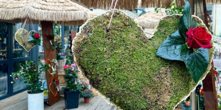 Gagnez votre rose pour la St Valentin