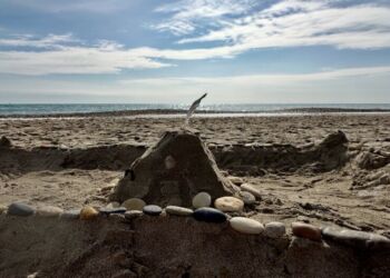 La pluie fera son retour dès mercredi, week-end compris