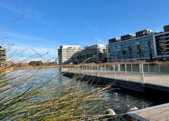 Meteo Enfin Une Semaine Au Top A Montpellier
