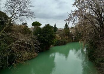 Pas de soleil avant mercredi à Montpellier
