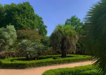 Primavera 2025 : La fête des plantes rares au jardin des Plantes de Montpellier