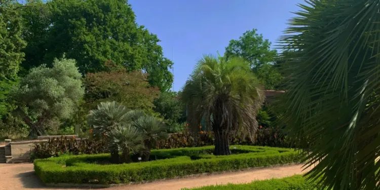 Primavera 2025 : La fête des plantes rares au jardin des Plantes de Montpellier